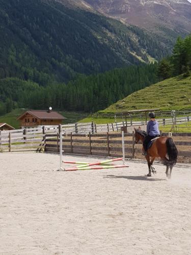 尼德泰Alpin Appart Reiterhof的骑着马跳过障碍物的人