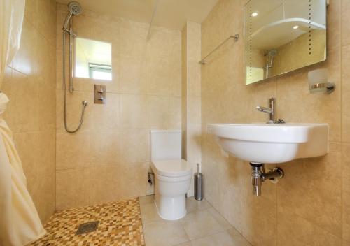 阿贝达隆Ty Cam的一间带水槽、卫生间和镜子的浴室