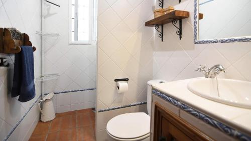 弗里希利亚纳Cortijo en Frigiliana的一间带卫生间和水槽的浴室
