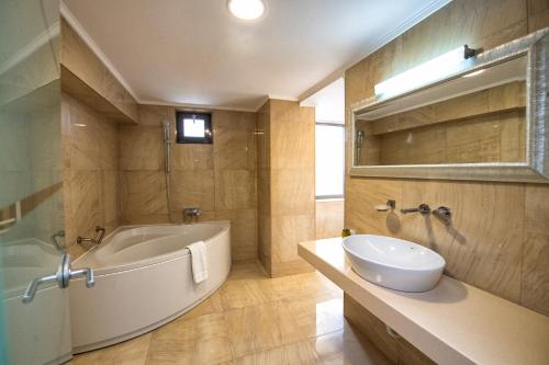 罗曼Hotel Roman by Dumbrava Business Resort的带浴缸、水槽和镜子的浴室