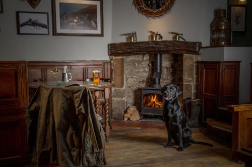 伯恩索尔The Red Lion & Manor House的坐在壁炉前的一只黑狗