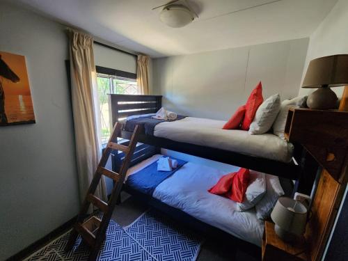 伊丽莎白港Heavenly Stables Self Catering Accommodation的一间卧室设有两张双层床和一扇窗户。