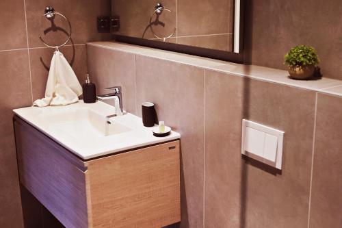 LukačMotel Prajo’s的一间带水槽和镜子的浴室