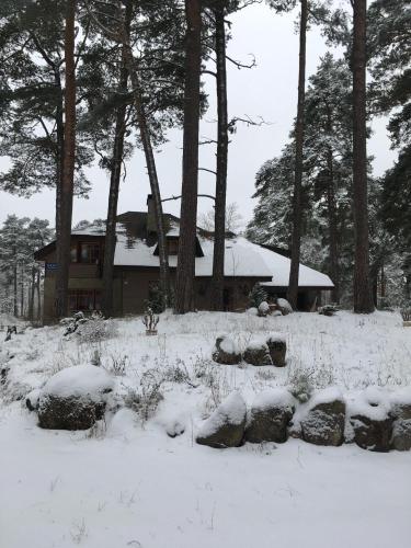 纳尔瓦约埃苏Vabaduse Guesthouse的一座有树木的雪地庭院内的房子