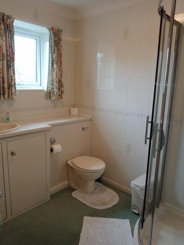 昂肯Glen Dhoo Country Cottages - The Apartment的浴室配有卫生间、盥洗盆和淋浴。