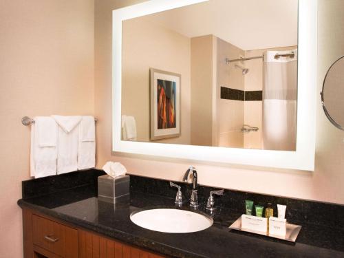明尼阿波利斯明尼阿波利斯希尔顿酒店的一间带水槽和大镜子的浴室
