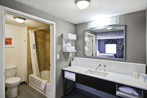 哥伦布哥伦布伊斯顿区汉普顿套房旅馆的一间带水槽、卫生间和镜子的浴室