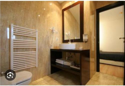 布尔戈斯hotel asador versus的一间带水槽、镜子和卫生间的浴室