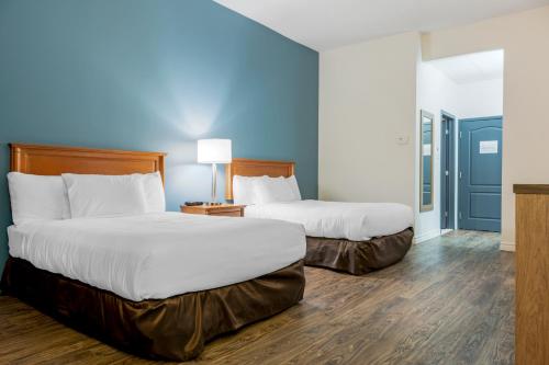 蒙马尼Econo Lodge Inn & Suites的两张位于酒店客房的床,拥有蓝色的墙壁