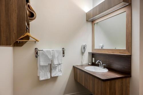 蒙马尼Econo Lodge Inn & Suites的一间带水槽和镜子的浴室