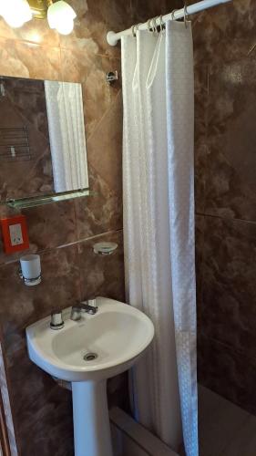 萨尔塔Rincón con Encanto的一间带水槽和淋浴帘的浴室