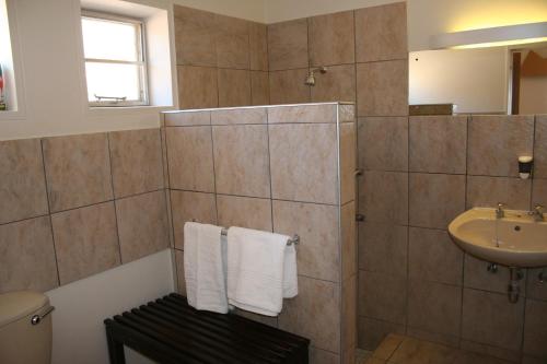 索利泰尔纳米布诺克路福山林小屋的浴室配有盥洗盆、淋浴和毛巾