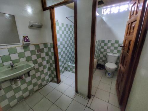 伊瓦拉Hotel Altamira Suites - Ibarra的一间带水槽和卫生间的浴室