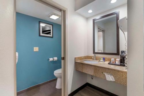 查尔斯顿芒特普​​莱森特司丽普酒店 - 查尔斯顿的一间带水槽、卫生间和镜子的浴室
