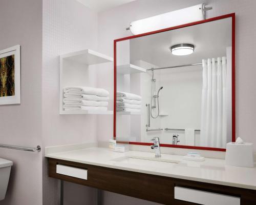 夏洛特Hampton Inn & Suites Charlotte Steele Creek Road, NC的一间带水槽和大镜子的浴室