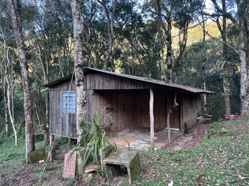 阿劳卡里亚Samuel santos的森林中间的小木屋