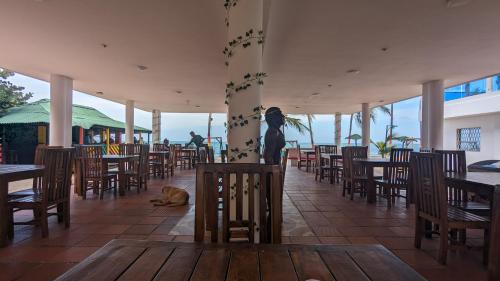 帕洛米诺Beach Life Palomino & Beach Club的一间设有桌椅的餐厅,以及一间位于地板上的狗