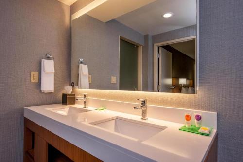 罗斯芒特芝加哥奥黑尔机场凯悦嘉轩酒店的一间带水槽和大镜子的浴室