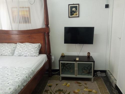 蒙巴萨Paradise Apartment的一间卧室配有一张床和一台平面电视