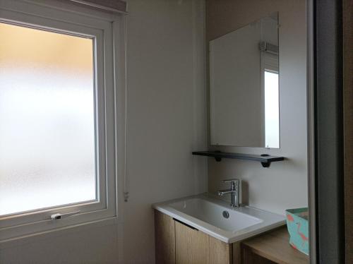 鲁西隆地区卡内Mobil home moderne neuf et ultra équipé de 6 à 8 couchages的一间带水槽和镜子的浴室以及窗户。