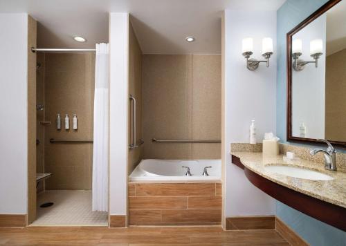 安娜堡安娜堡希尔顿花园酒店的带浴缸、水槽和淋浴的浴室
