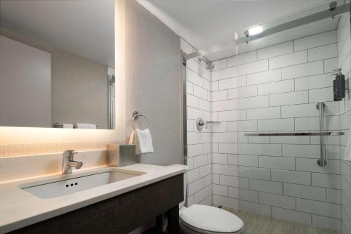 月球乡希尔顿逸林酒店匹兹堡机场店的一间带水槽、卫生间和镜子的浴室