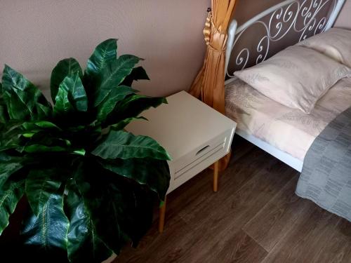 切尔尼戈夫1ком БЕЛАЯ МЕЧТА Центр ЦУМ посуточно почасово месяц的坐在床边的植物和一张白色桌子