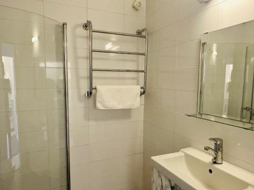 赫尔辛基Eteläinen Hesperiankatu的带淋浴、盥洗盆和镜子的浴室