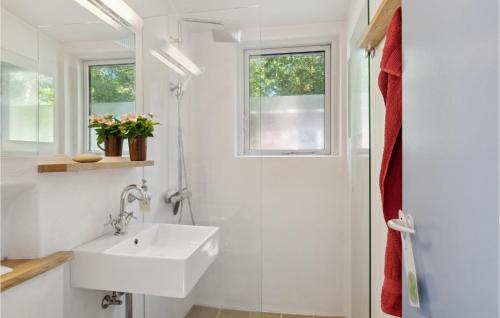 瓦伊比Nice Home In Vejby With Kitchen的白色的浴室设有水槽和窗户。