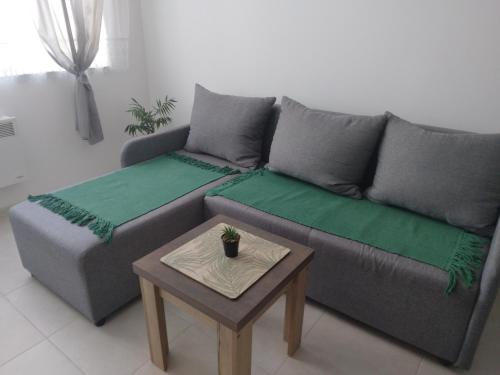 帕拉钦Green Apartman的客厅配有沙发和桌子