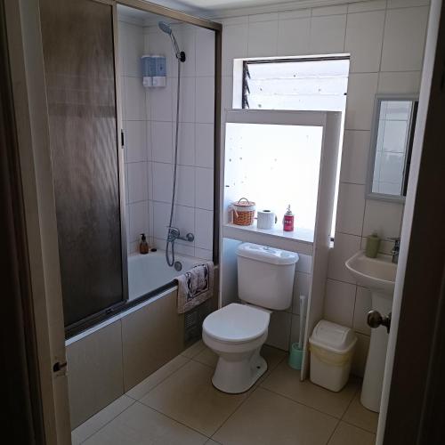 伊基克Casa dos dormitorios的浴室配有卫生间、淋浴和盥洗盆。