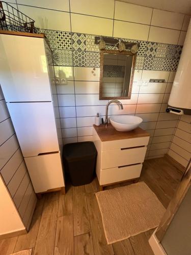 Malá MoravaChalupa U Franze的一间带水槽和镜子的浴室