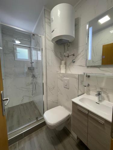 察夫塔特Villa Royal的浴室配有卫生间、淋浴和盥洗盆。