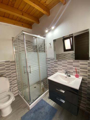 弗龙特拉CASITA LAS VISTAS的带淋浴、盥洗盆和卫生间的浴室