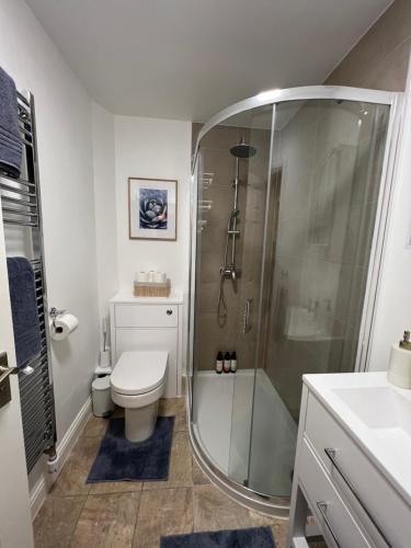 洛西茅斯Lossie Self-Catering Apartment的带淋浴、卫生间和盥洗盆的浴室