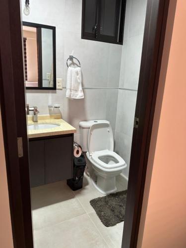 科恰班巴Departamento Ebano Apt 1E的一间带卫生间、水槽和镜子的浴室