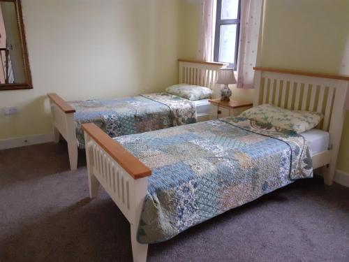 塔拉莫尔Killooley Lodge的一间卧室设有两张床和窗户。