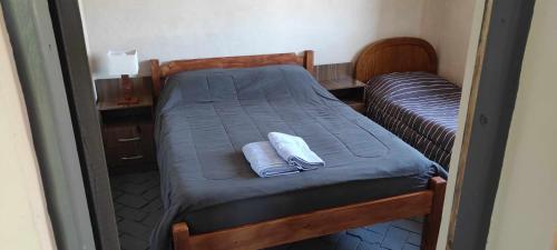 派桑杜Retiro San Francisco 2 hasta 6 huespedes -Pais Uruguay的一间小卧室,房间内设有两张床