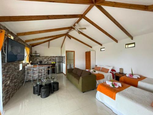安加罗阿Mata ki te Rangi Rapa Nui的带两张床和一张沙发的房间以及一间厨房