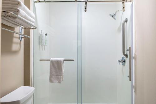 巴吞鲁日巴吞鲁日南万豪春季山丘套房酒店的浴室里设有玻璃门淋浴
