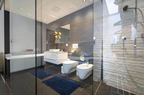 施库尔Chasa Emerita Moderne 3,5-Zimmer Terrassenwohnung mit Panoramablick的浴室配有卫生间、盥洗盆和淋浴。