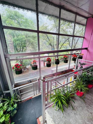 乔斯希马特Hotel Virdh Badri的窗户上放着盆栽的植物的房间