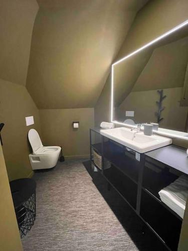 雷恩Maison du Thabor的一间带卫生间、水槽和镜子的浴室
