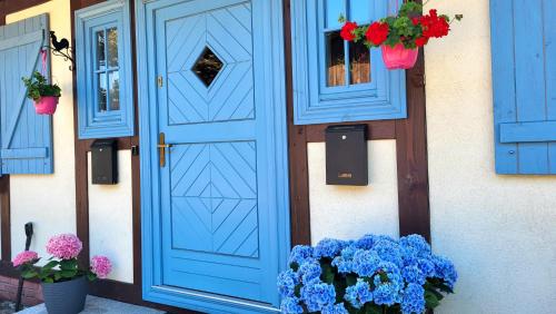 HinterseeHaus Julia的蓝色的门和盆里的花