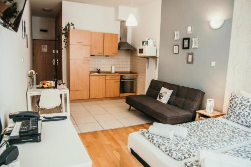 布达佩斯Elite Rooms & Apartments的带沙发的小客厅和厨房