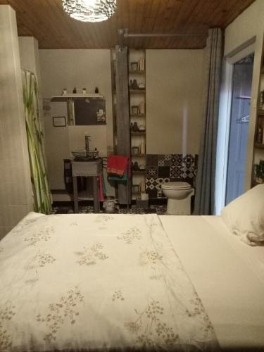 Bourg-ArgentalLe repaire des écureuils的一间卧室配有一张床、一张桌子和一个水槽