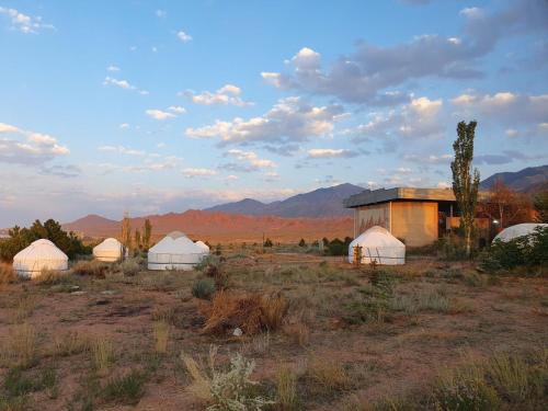 Kaji-SayAgat Yurt Camp的一组圆顶,位于一个有山背景的田野中
