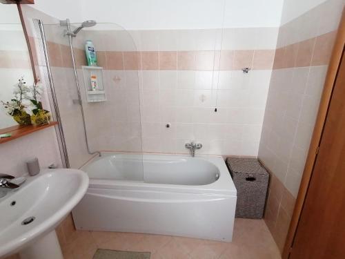 IntrobioLa casa di Sara in Valsassina的浴室配有白色浴缸和水槽