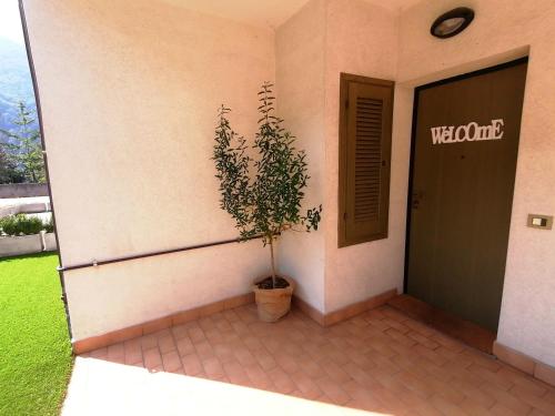 IntrobioLa casa di Sara in Valsassina的坐在建筑物外的锅里的植物