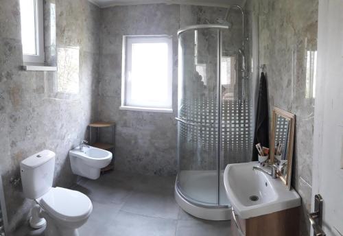 维内Dovolenkový dom Nika的带淋浴、卫生间和盥洗盆的浴室
